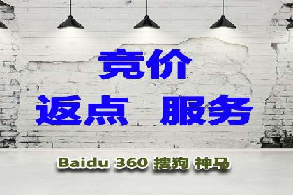 某公司SEM优化成功案例：从零到一的流量增长
